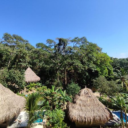 مبيت وإفطار الزينو Colibri Parque Tayrona Dentro Del Parque Nacional Tayrona المظهر الخارجي الصورة