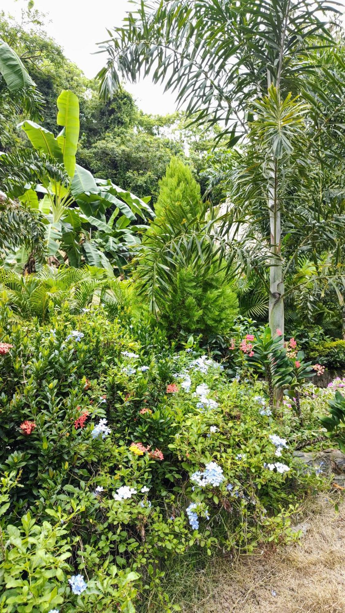 مبيت وإفطار الزينو Colibri Parque Tayrona Dentro Del Parque Nacional Tayrona المظهر الخارجي الصورة