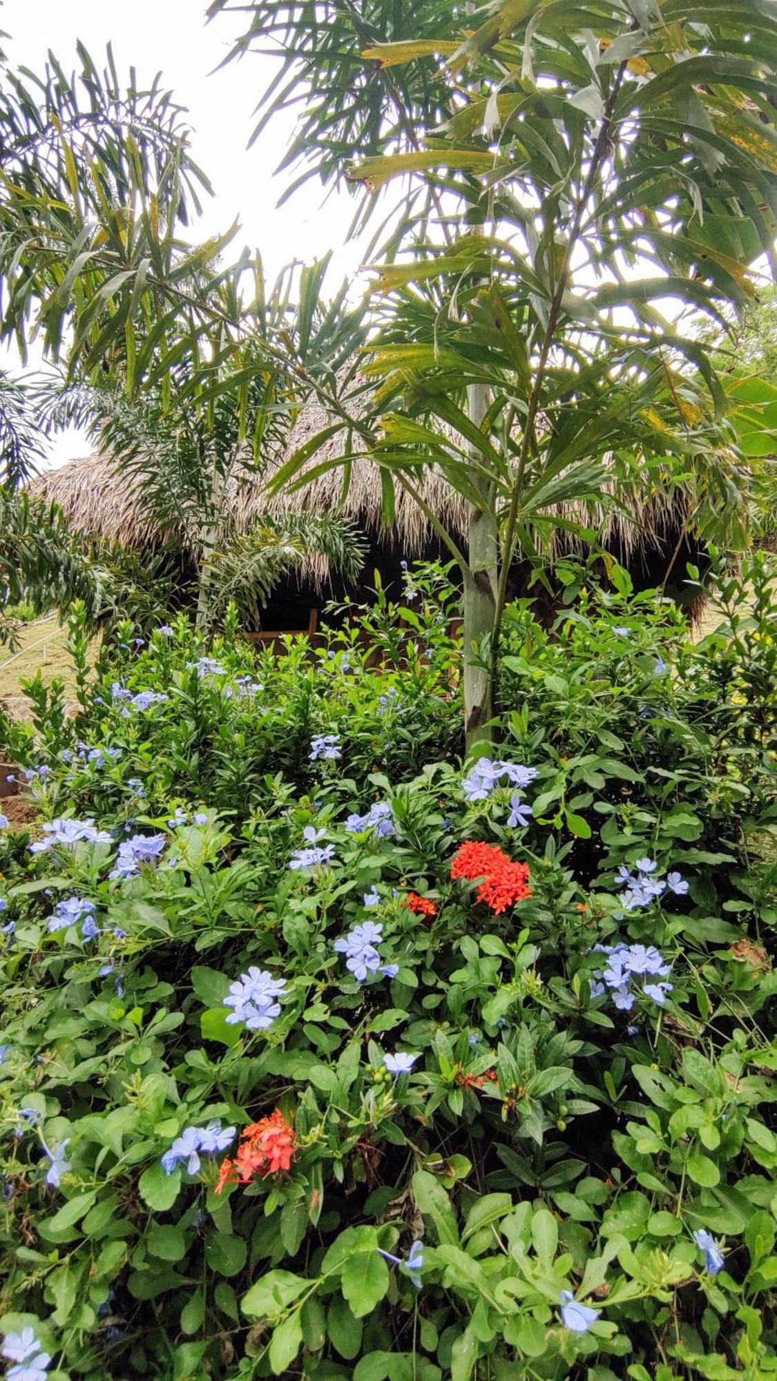 مبيت وإفطار الزينو Colibri Parque Tayrona Dentro Del Parque Nacional Tayrona المظهر الخارجي الصورة