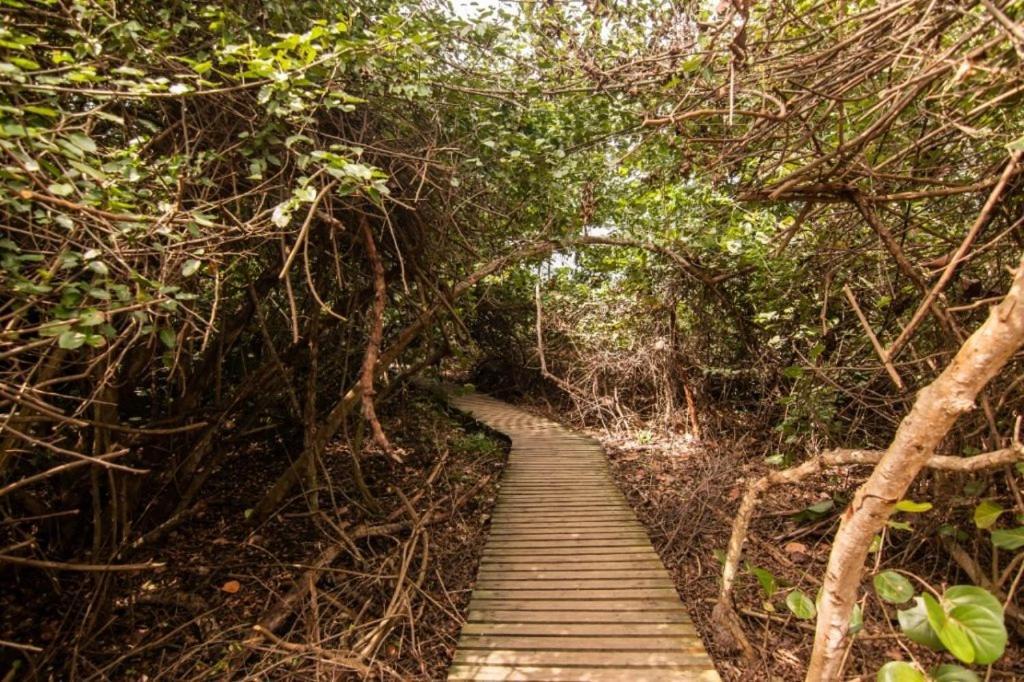 مبيت وإفطار الزينو Colibri Parque Tayrona Dentro Del Parque Nacional Tayrona المظهر الخارجي الصورة