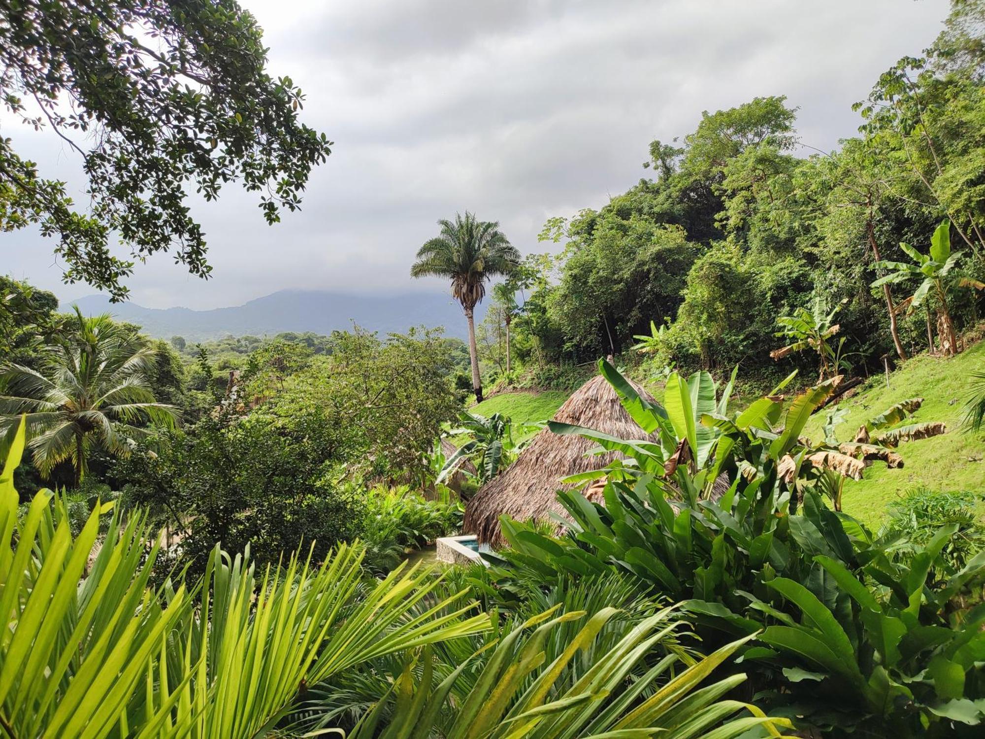 مبيت وإفطار الزينو Colibri Parque Tayrona Dentro Del Parque Nacional Tayrona المظهر الخارجي الصورة