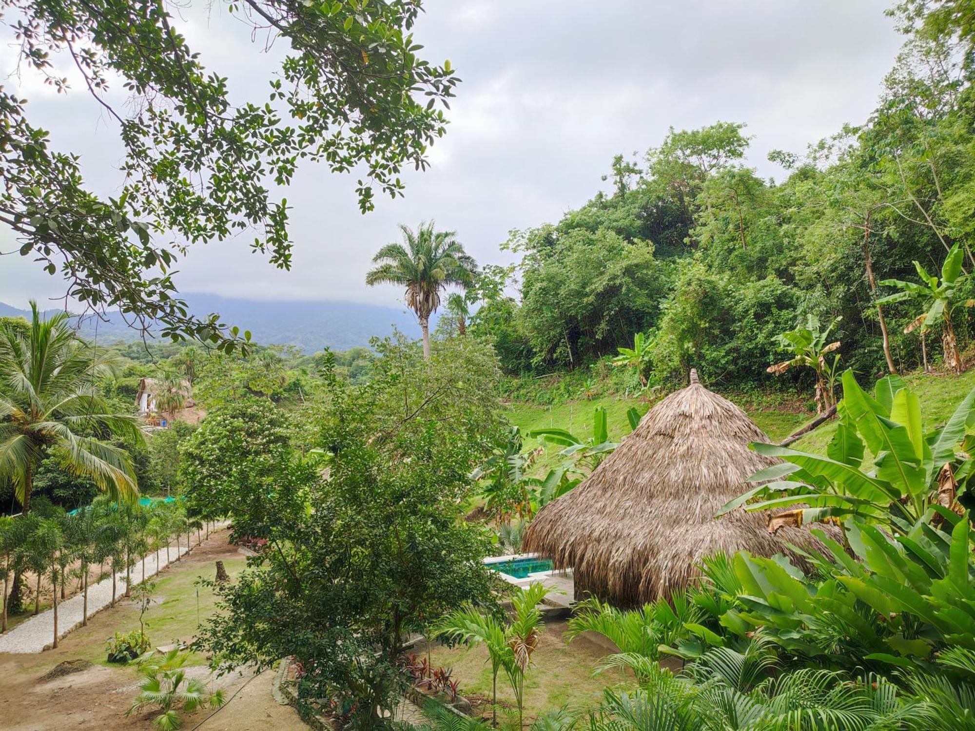 مبيت وإفطار الزينو Colibri Parque Tayrona Dentro Del Parque Nacional Tayrona المظهر الخارجي الصورة
