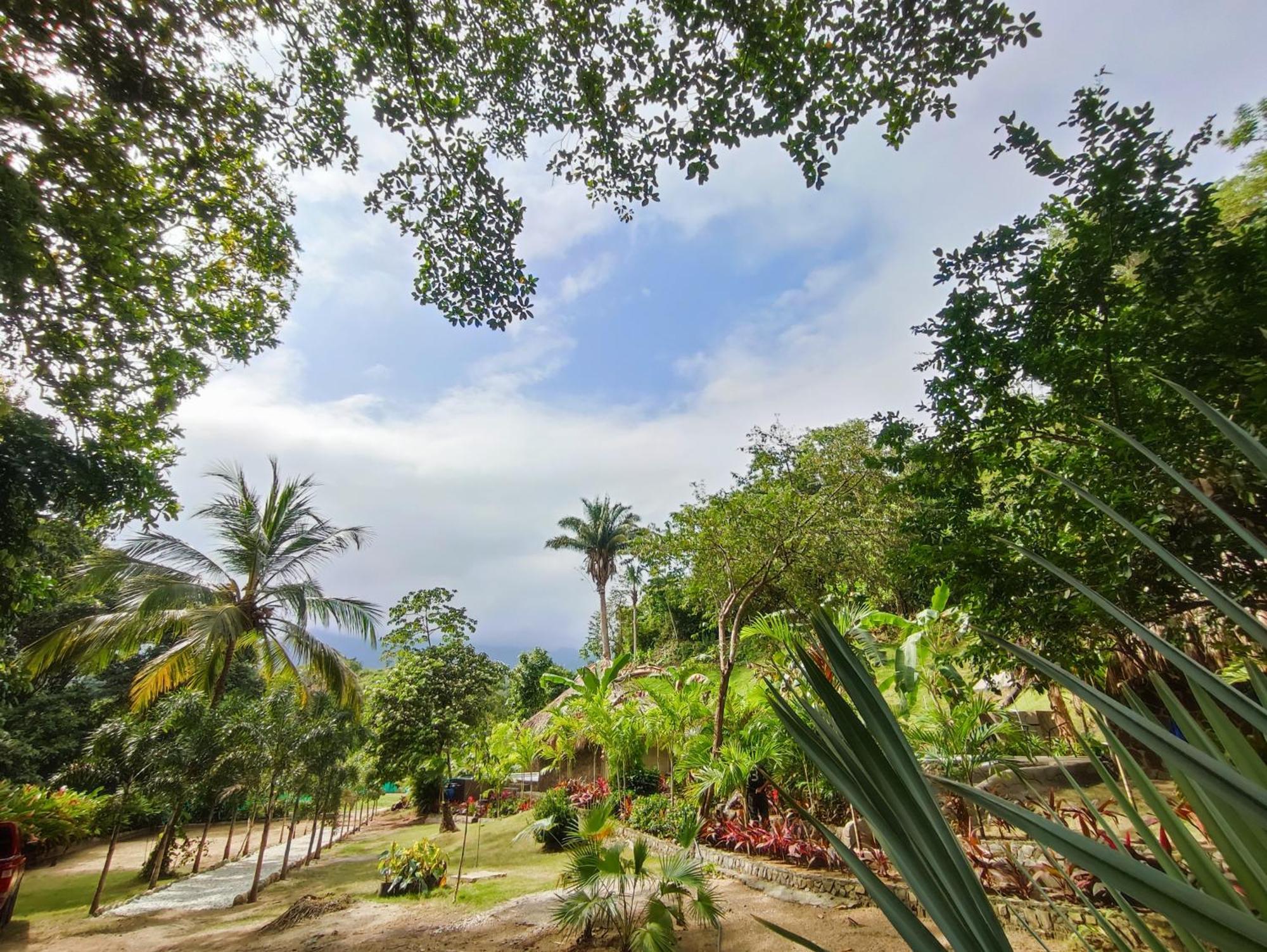 مبيت وإفطار الزينو Colibri Parque Tayrona Dentro Del Parque Nacional Tayrona المظهر الخارجي الصورة