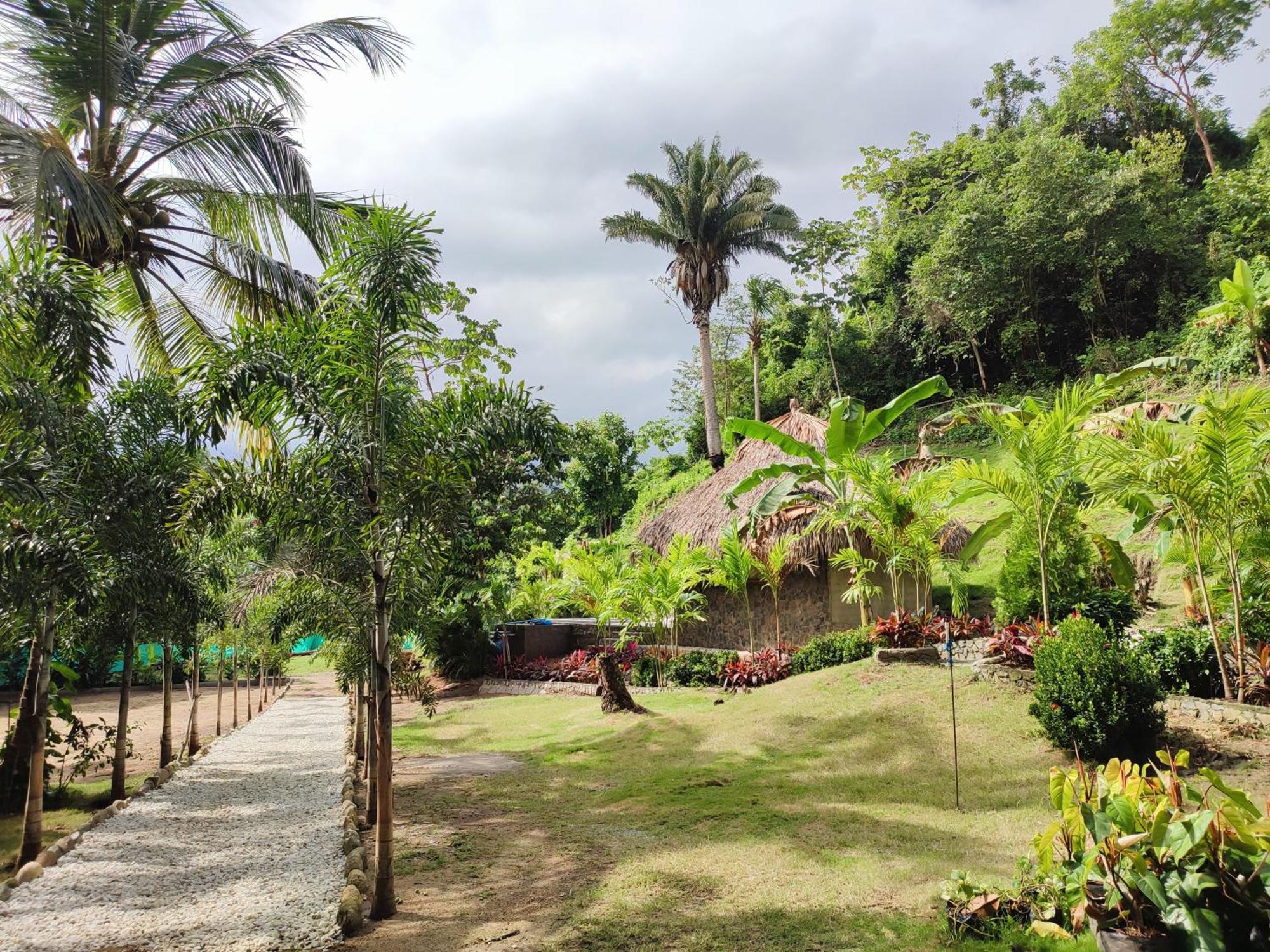 مبيت وإفطار الزينو Colibri Parque Tayrona Dentro Del Parque Nacional Tayrona المظهر الخارجي الصورة