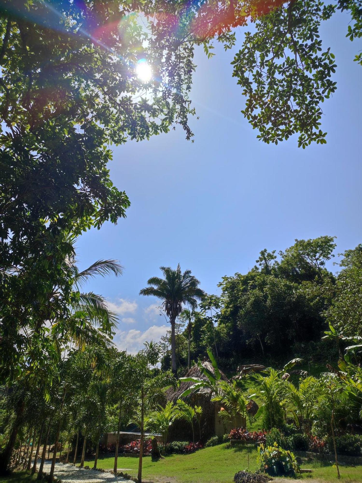 مبيت وإفطار الزينو Colibri Parque Tayrona Dentro Del Parque Nacional Tayrona المظهر الخارجي الصورة