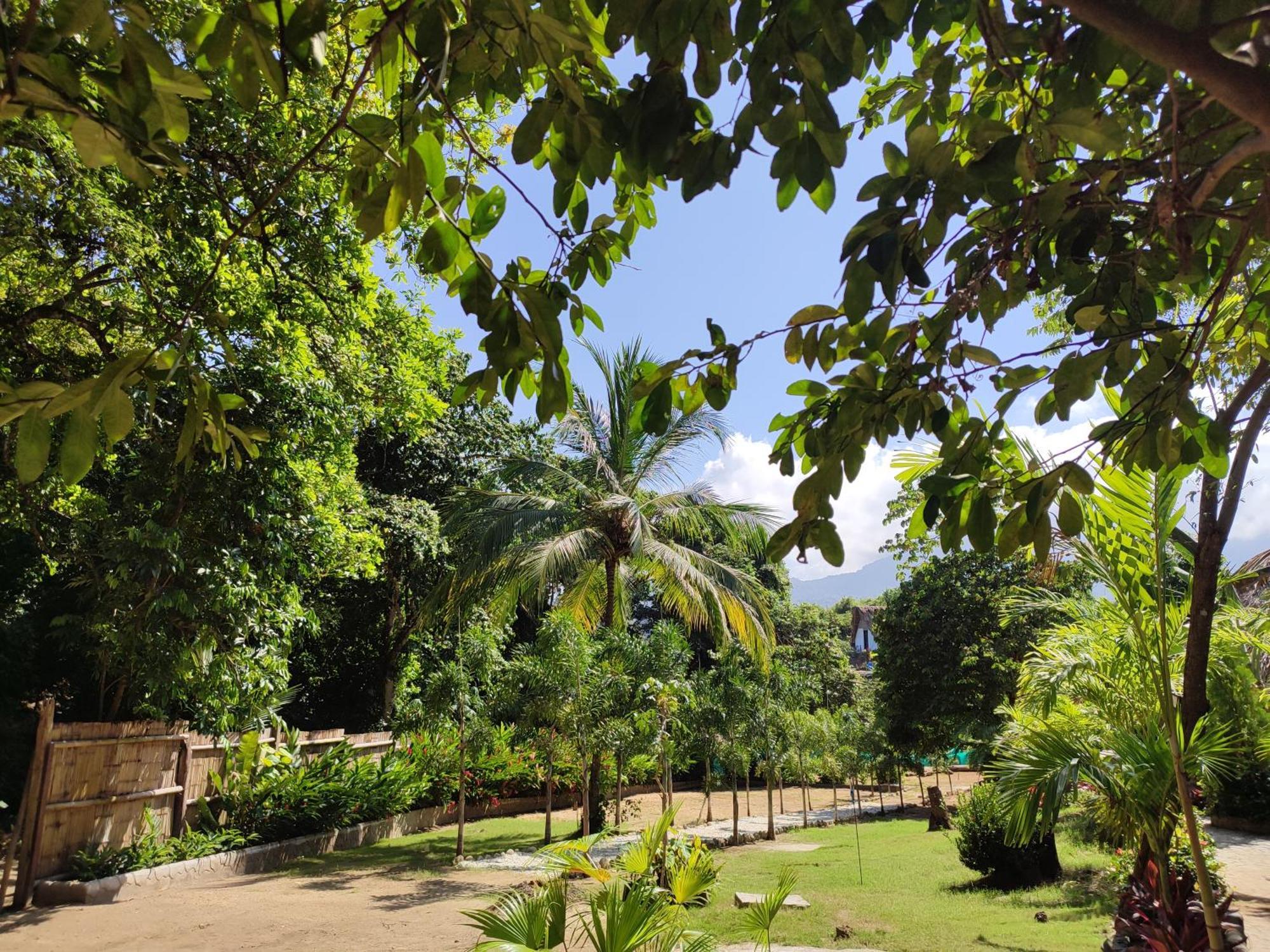 مبيت وإفطار الزينو Colibri Parque Tayrona Dentro Del Parque Nacional Tayrona المظهر الخارجي الصورة