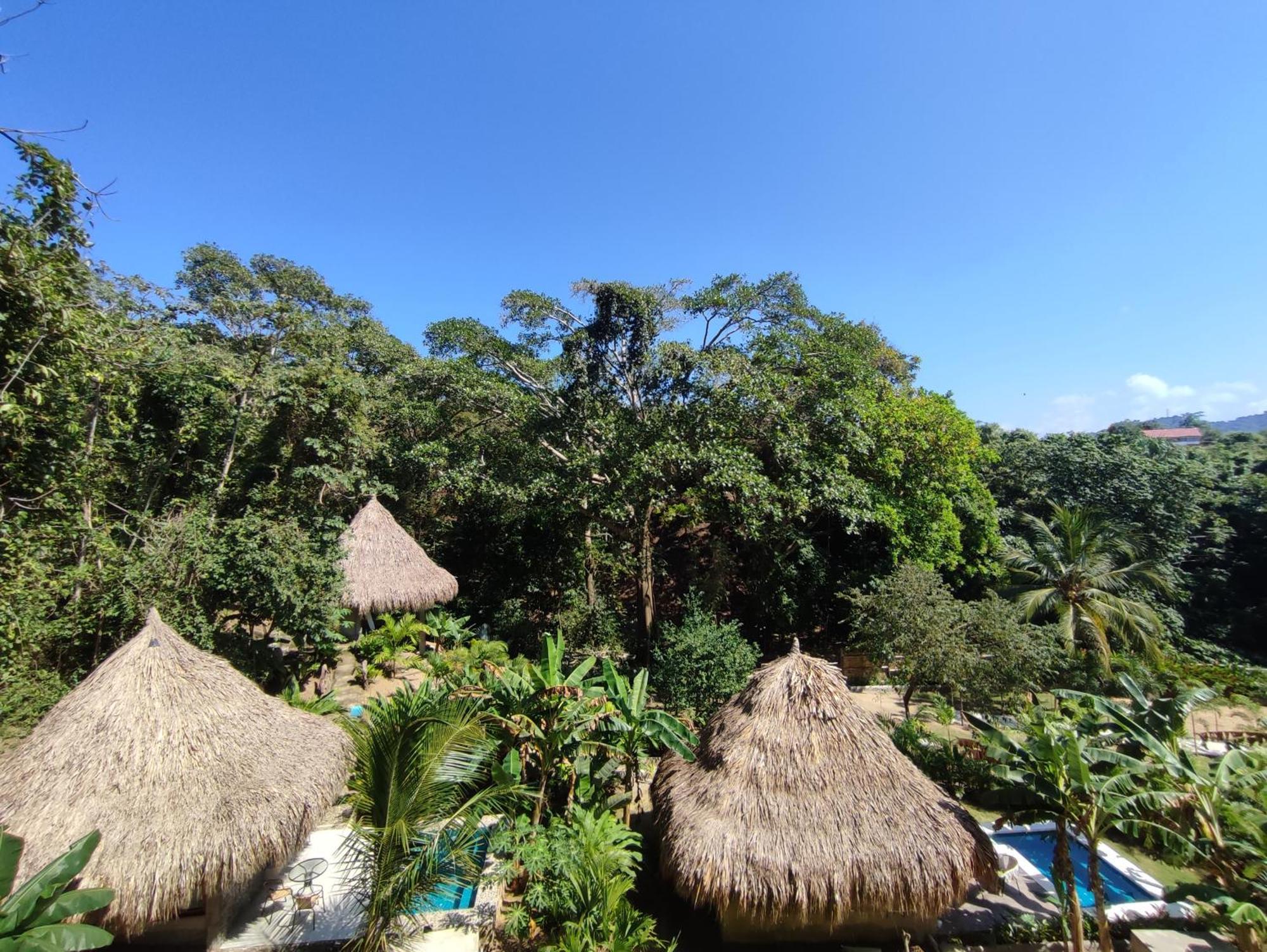 مبيت وإفطار الزينو Colibri Parque Tayrona Dentro Del Parque Nacional Tayrona المظهر الخارجي الصورة